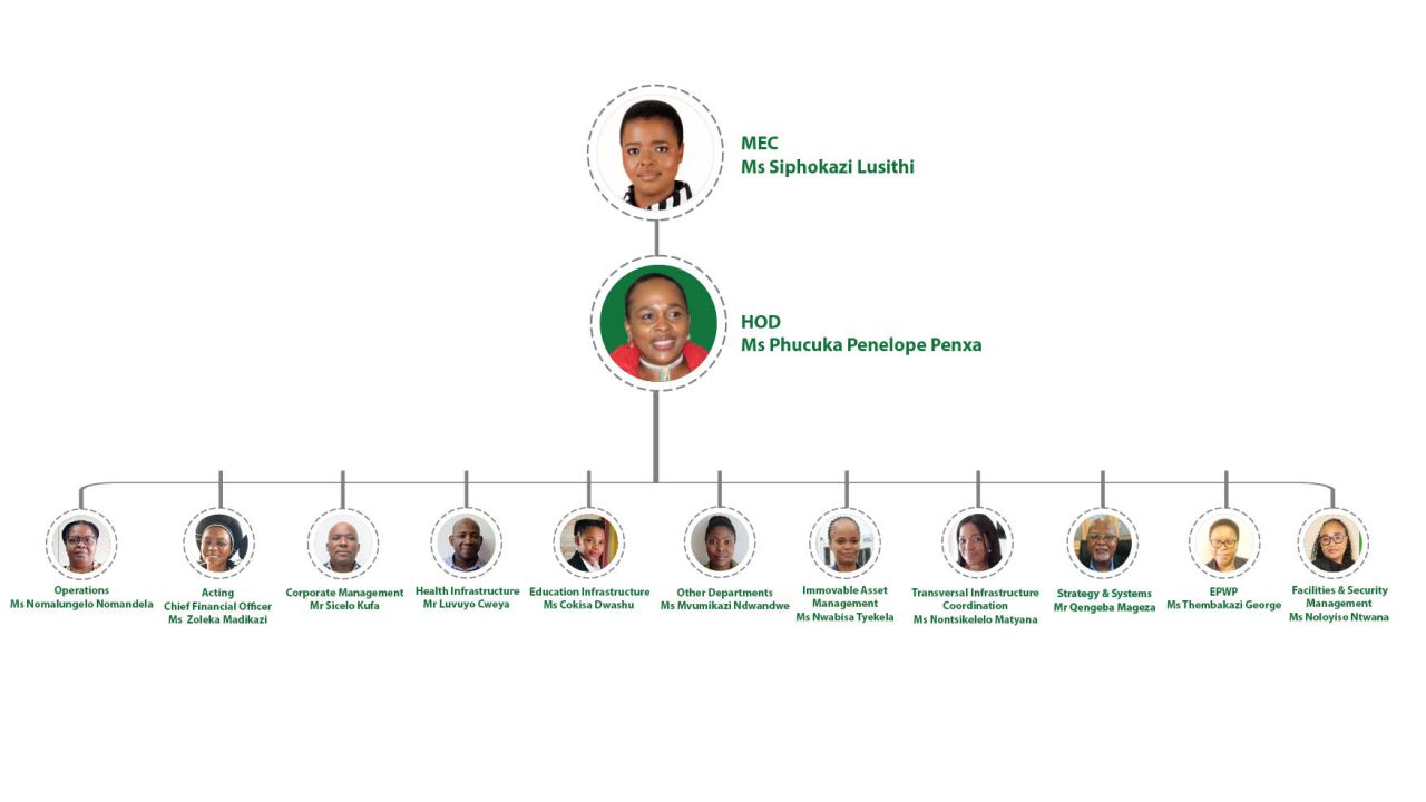 Organogram DPW Strucutre design Acting CFO